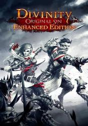 Divinity: Original Sin - Enhanced Edition (2015) (RePack by Mizantrop1337) PC