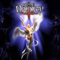 Divine Divinity (2002) (Steam-Rip от A1kaida) PC