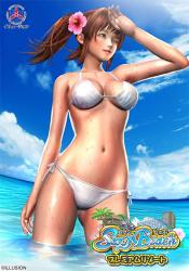 Sexy Beach Premium Resort (2015) (RePack от FitGirl) PC