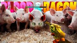 Blood and Bacon (2016) (RePack от Pioneer) PC