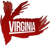 Virginia (2016/Лицензия) PC