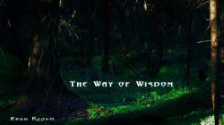 The Way of Wisdom (2016/Лицензия) PC