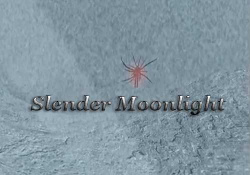 Slender Moonlight (2016) PC