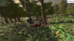 Forest Bike (2017) PC