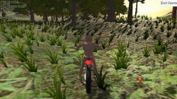 Forest Bike (2017) PC