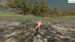 Forest Bike (2017) PC