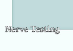 Nerve Testing (2017) PC