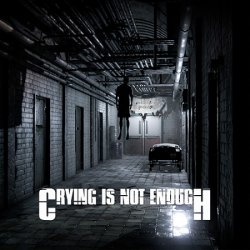 Crying is not Enough: Remastered (2018/Лицензия) PC