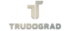 ATOM RPG: Trudograd (2020) (RePack от xatab) PC