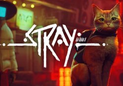 Теперь кошачьим приключением Stray можно наслаждаться вдвоем