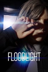 Floodlight (2025) на PC
