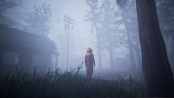 Veil of the Skies (Лицензия/2025) на ПК