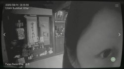 Japan Stigmatized Property (2025) на ПК | Лицензия