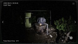 Japan Stigmatized Property (2025) на ПК | Лицензия