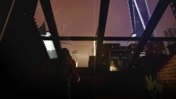 DEN PAIN (2025) - Лицензия