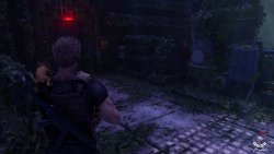 DecayZ Origin (2025) - Лицензия