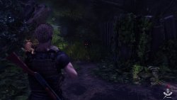 DecayZ Origin (2025) - Лицензия