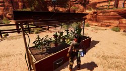 Bounty Star (2025) - RePack от FitGirl