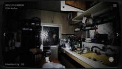 Japan Stigmatized Property 2 (2025)