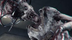 The Green Light (2026)