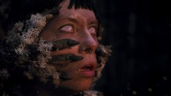 Heart of the Forest (2026)