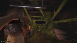 CHWÆST: A Creeping Parasite Horror (2026)