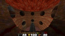 FLESHCANCER (2026)